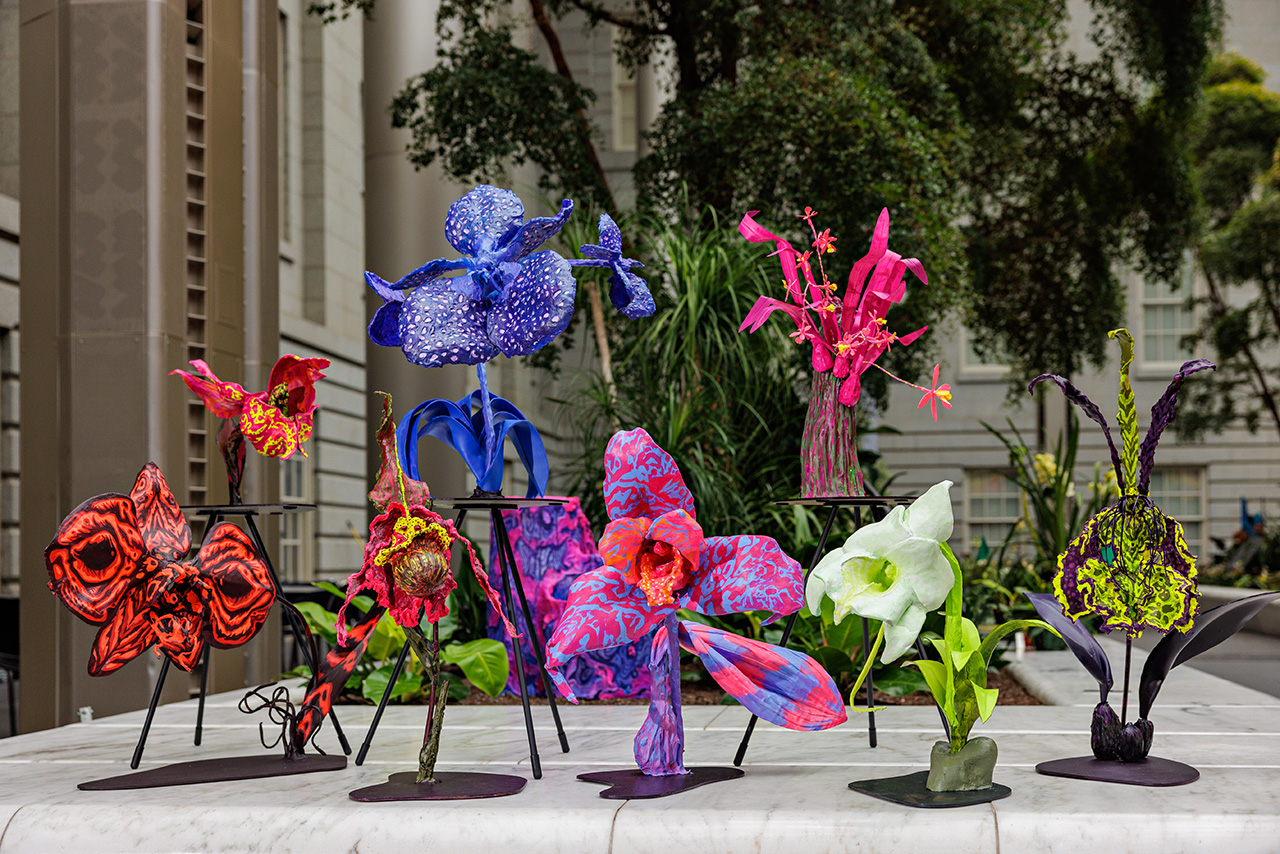 Orchids5 - Washingtonian