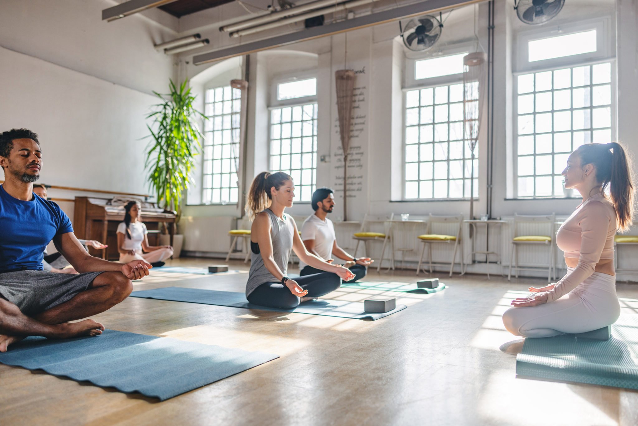 Pilates vs Yoga: Which is Better? - Social Diary Magazine