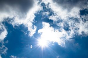 It Was an Insane 80 Degrees Today, a Record for DC in January