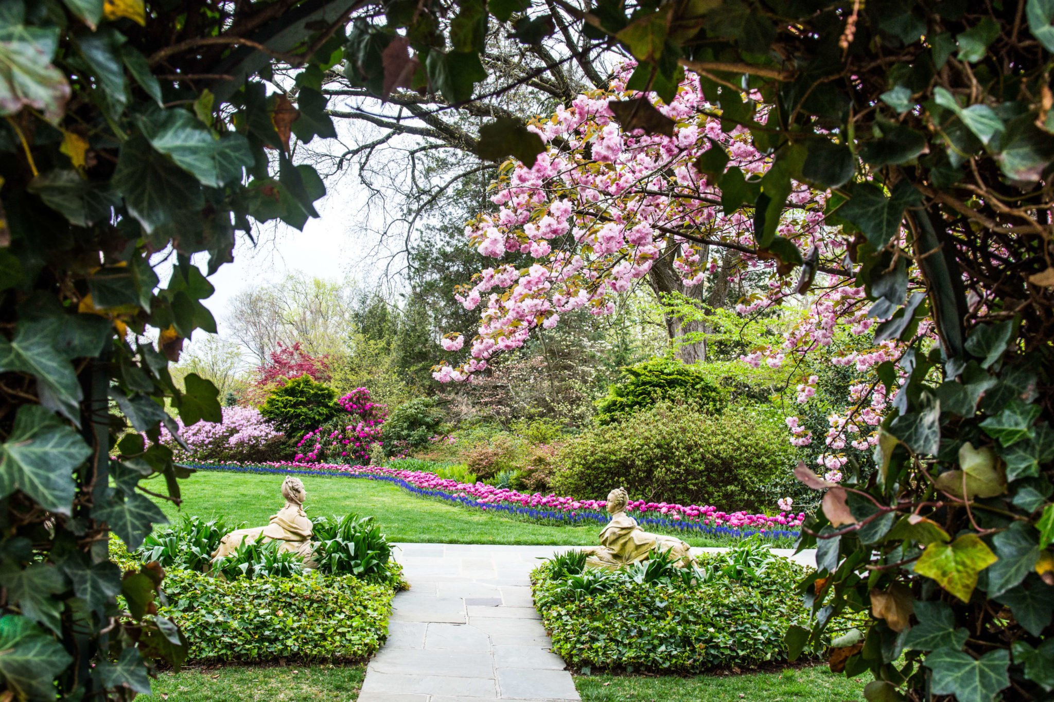 10 Outdoor Attractions Worth Checking Out When Visiting Washington, DC