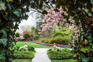 Lush Gardens to Tour Around DC This Spring and Summer
