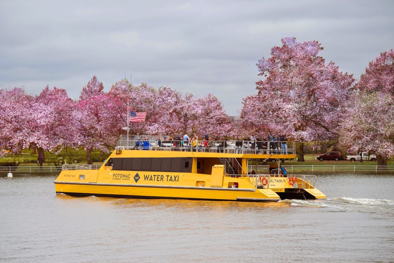 City Experiences's Water Taxi.