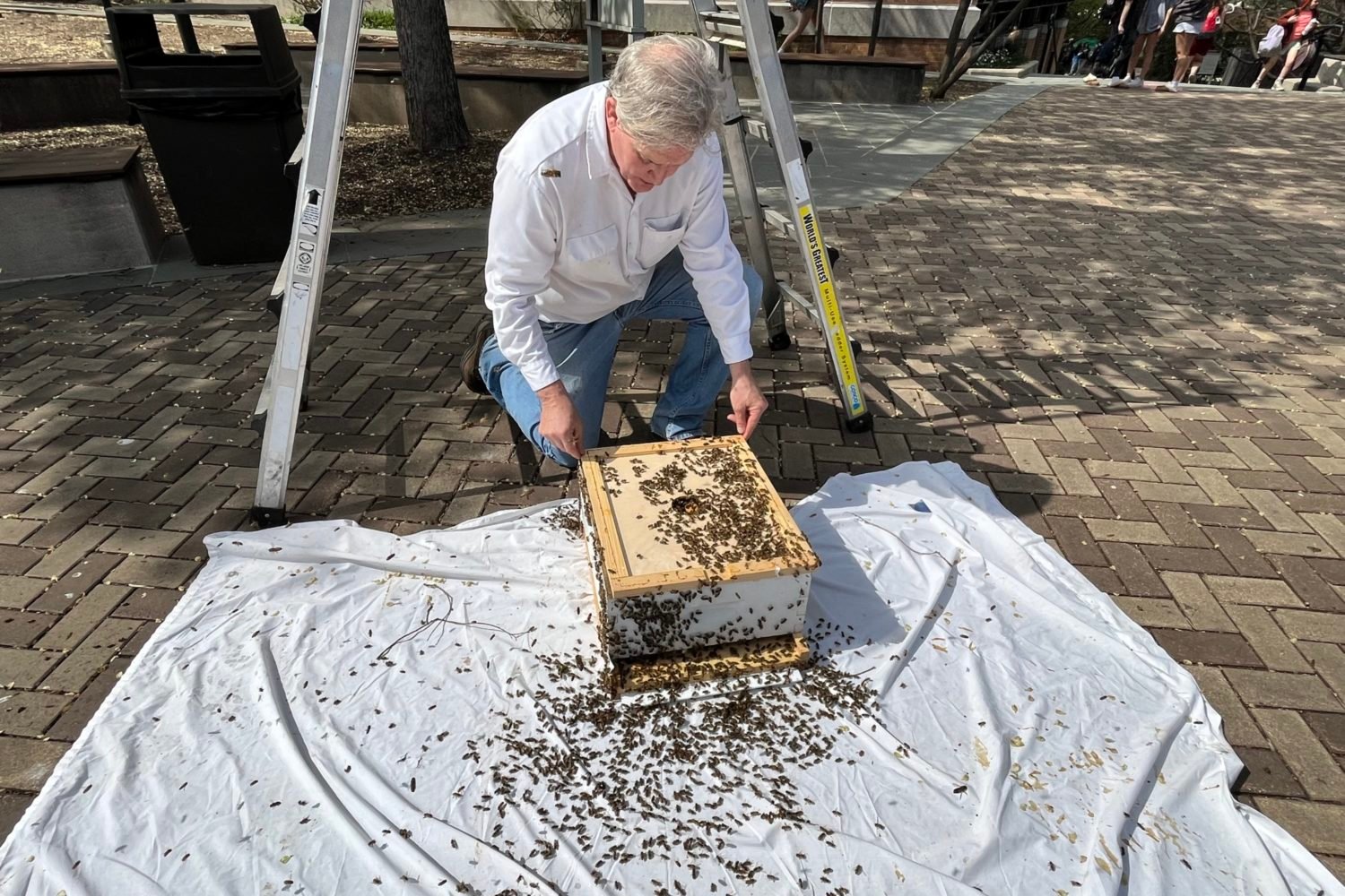 Sean Kennedy of the DC Beekeepers Alliance.