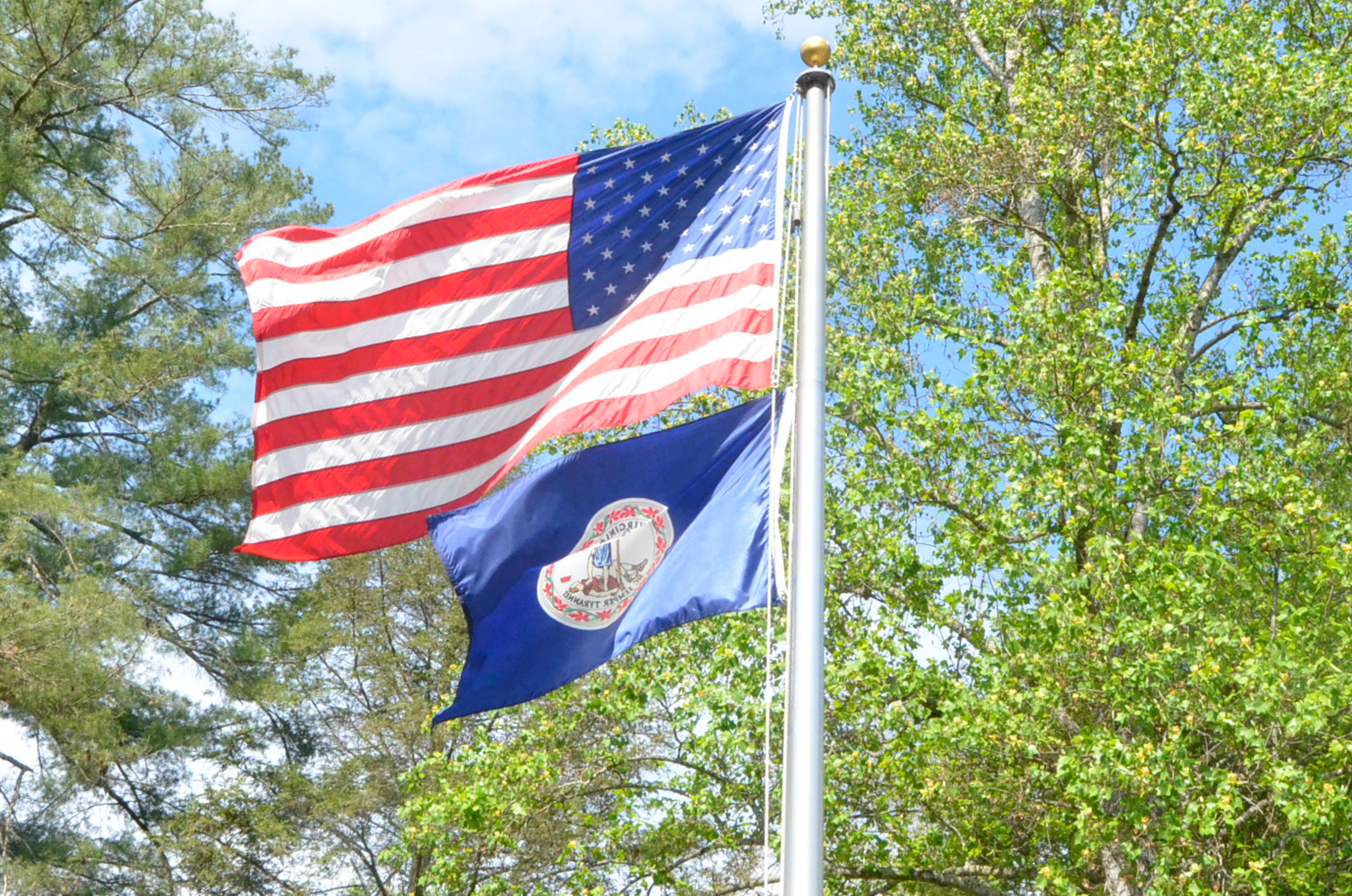 The US and Virginia flags.