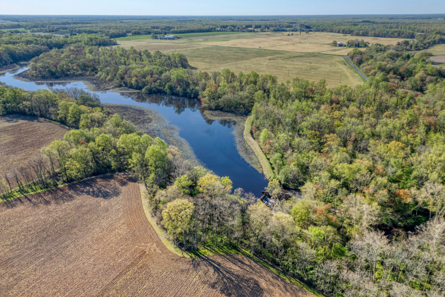 Protected: A Premier 840-Acre Grain and Hunting Farm on Maryland’s Eastern Shore