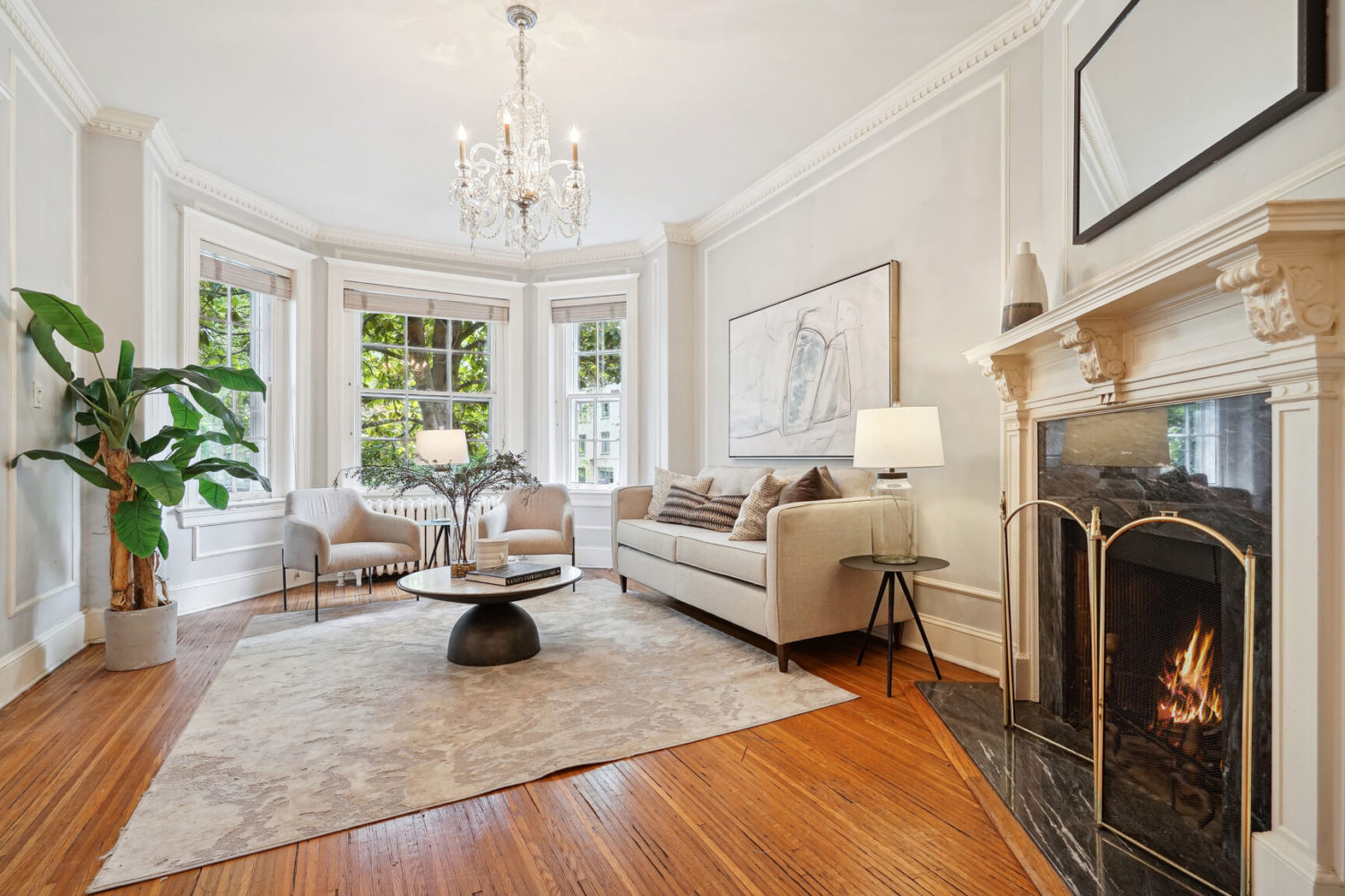Rare Find in Historic Woodley Park
