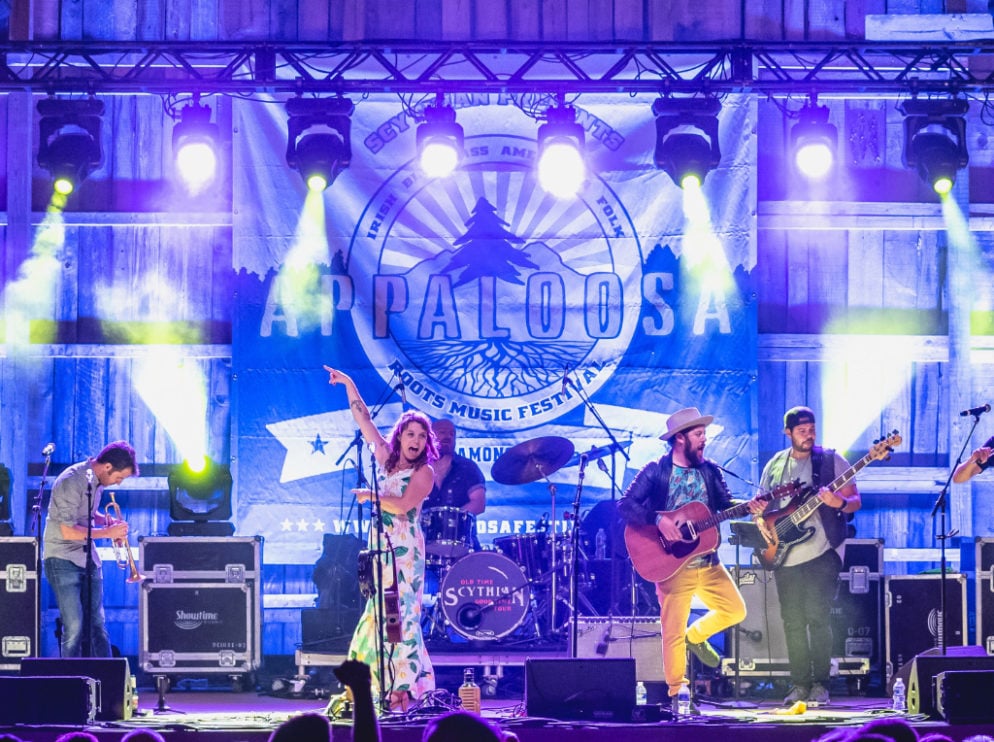 The Ultimate Guide to Festivals & Fairs in the DC Area