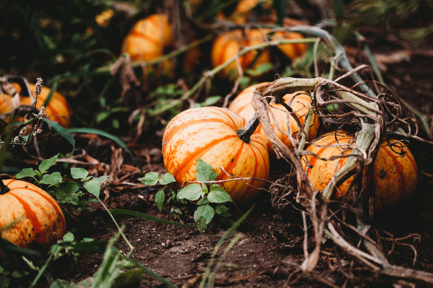 When Is October