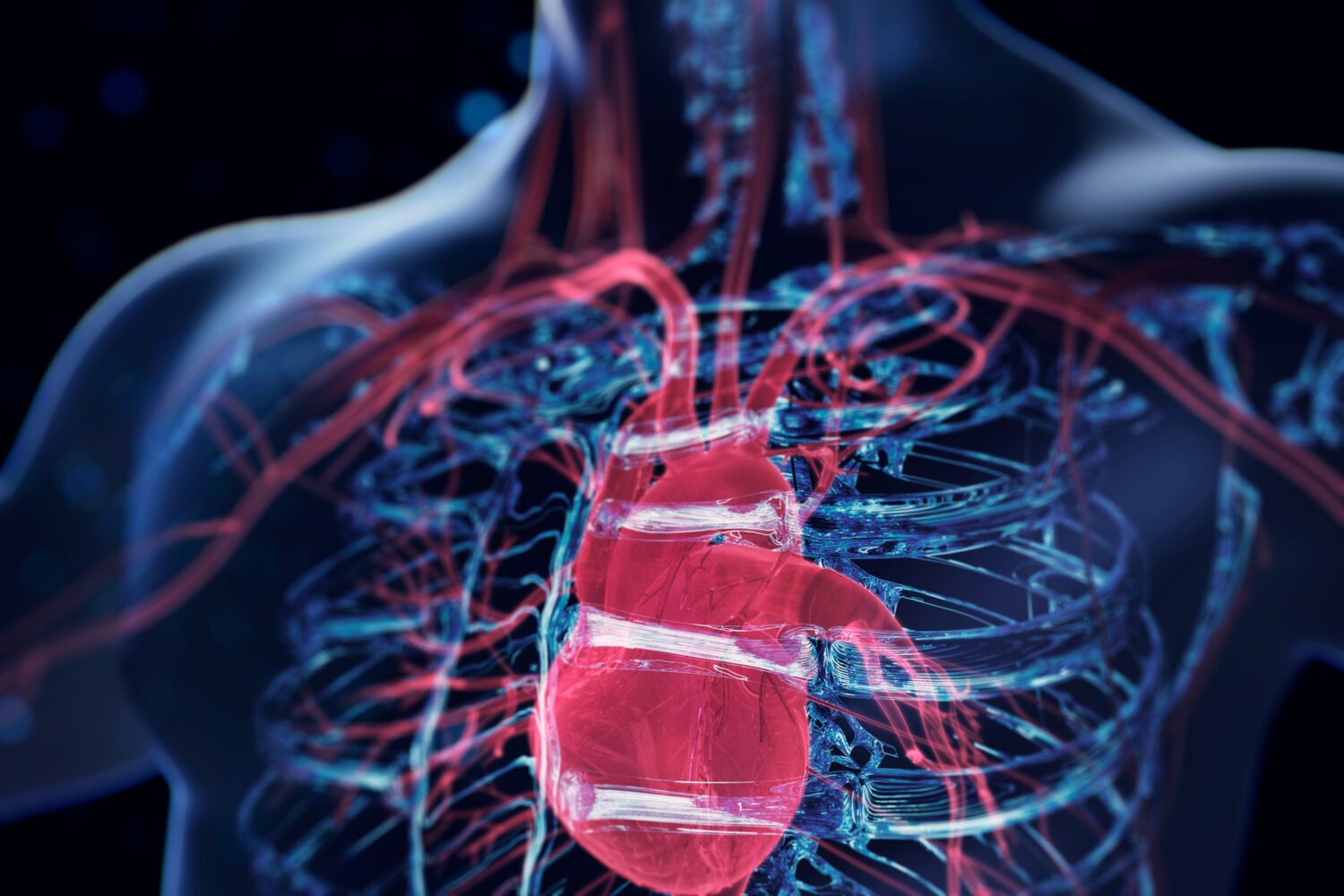 A red heart is visible inside a blue-colored body.