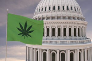 This DC Inauguration Day Event Encourages People to “Take Edibles and Come”