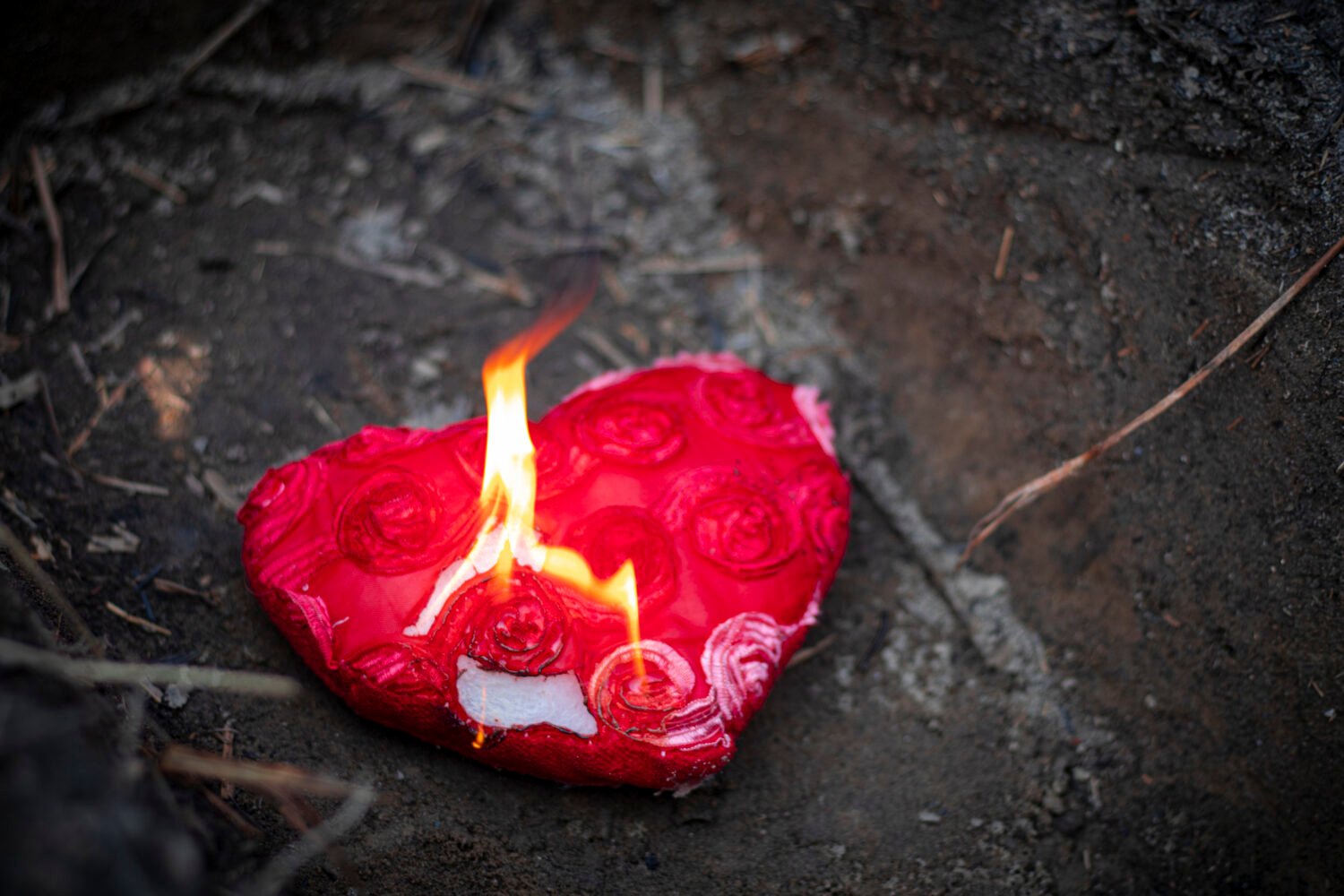 Image by Uma Shankar sharma via iStock/Getty Images Plus.