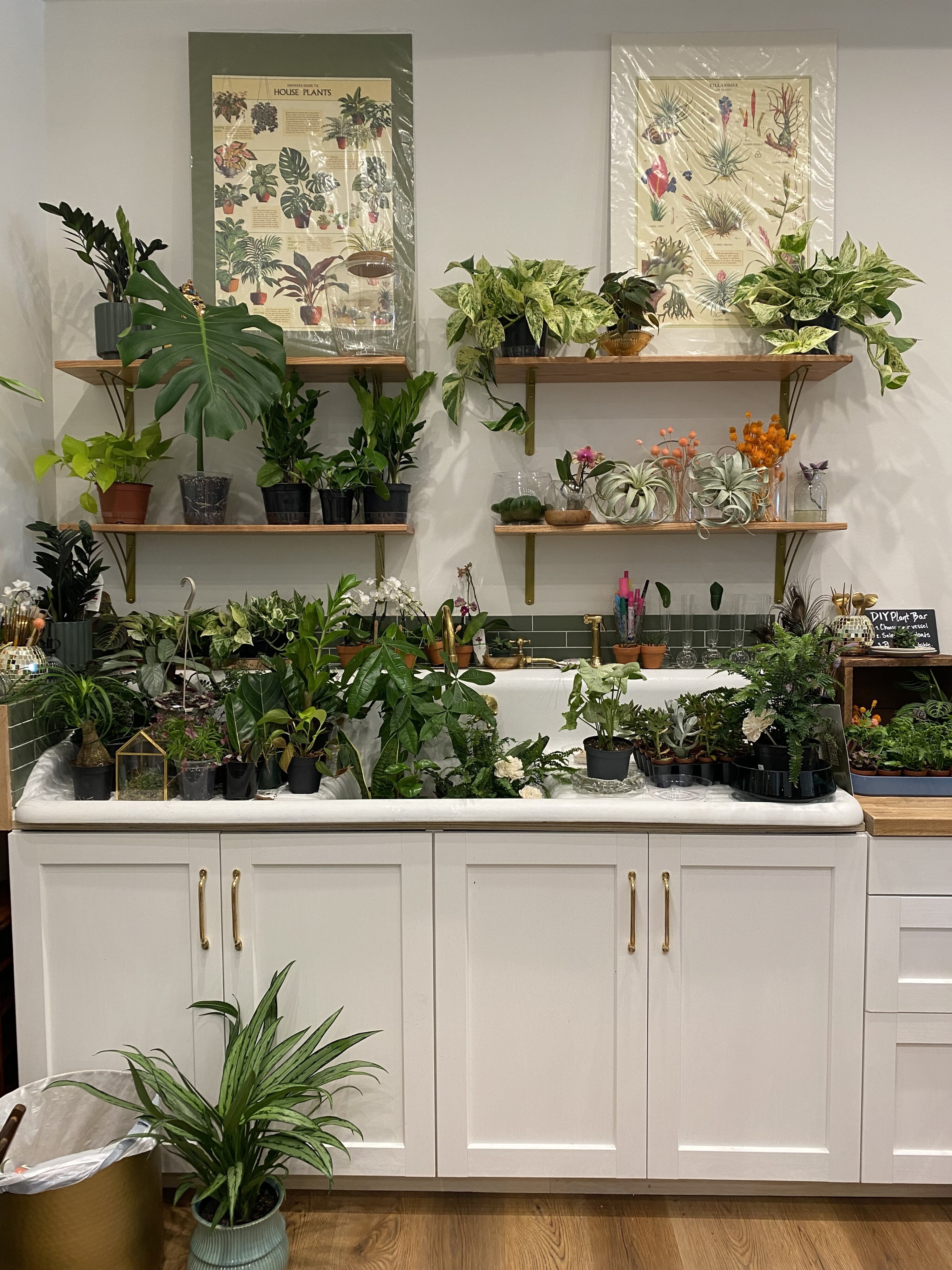 3 - Washingtonian A reclaimed sink is used for repotting services. Photo by Orly Keiner.