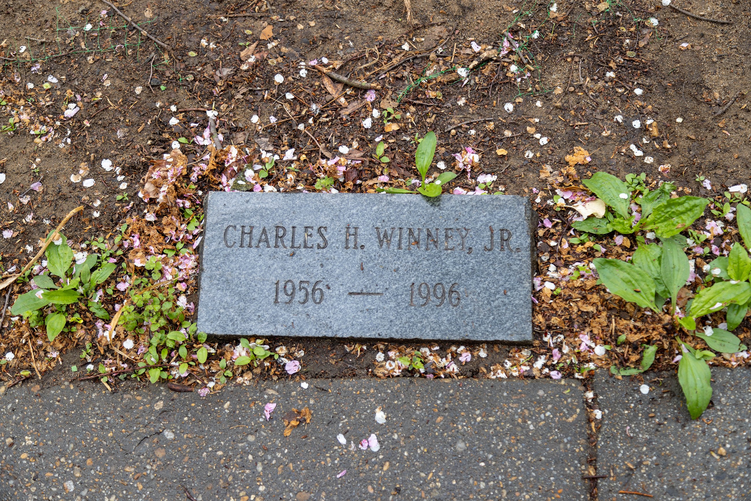 _67A0968-scaled-down - Washingtonian