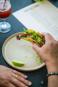 Chicatana - Washingtonian