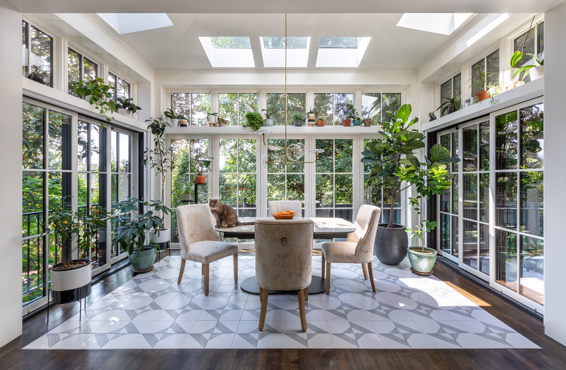 Stavrianos-9C-cropped - Washingtonian