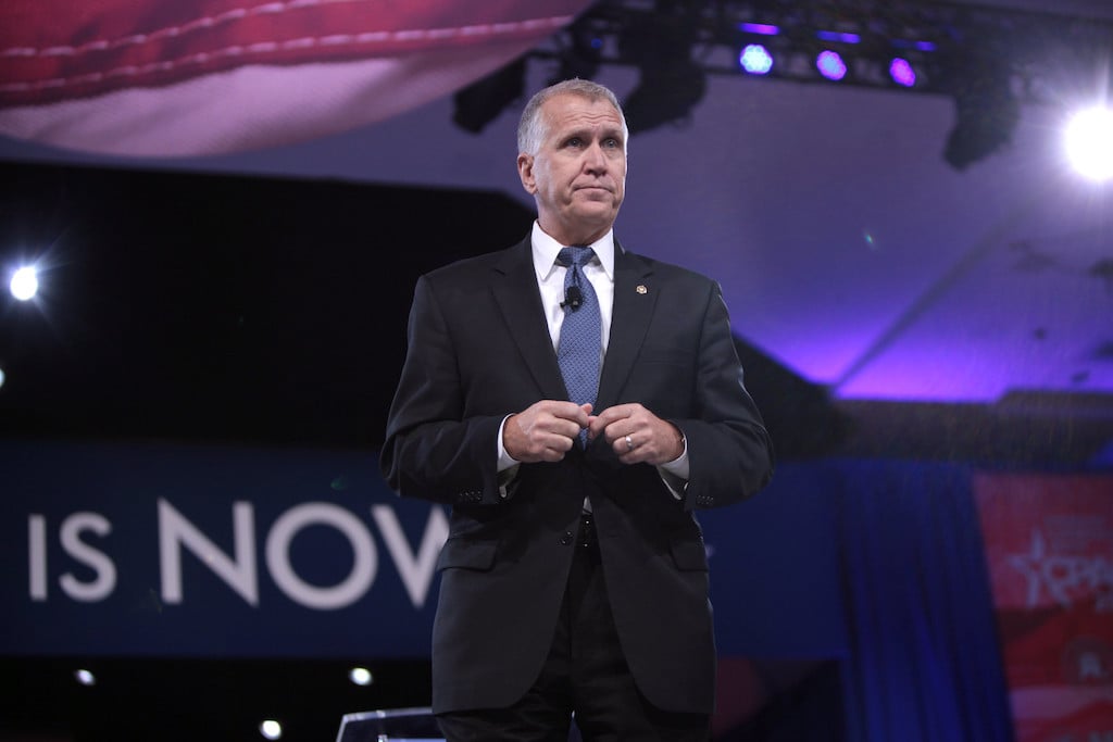 Thom Tillis
