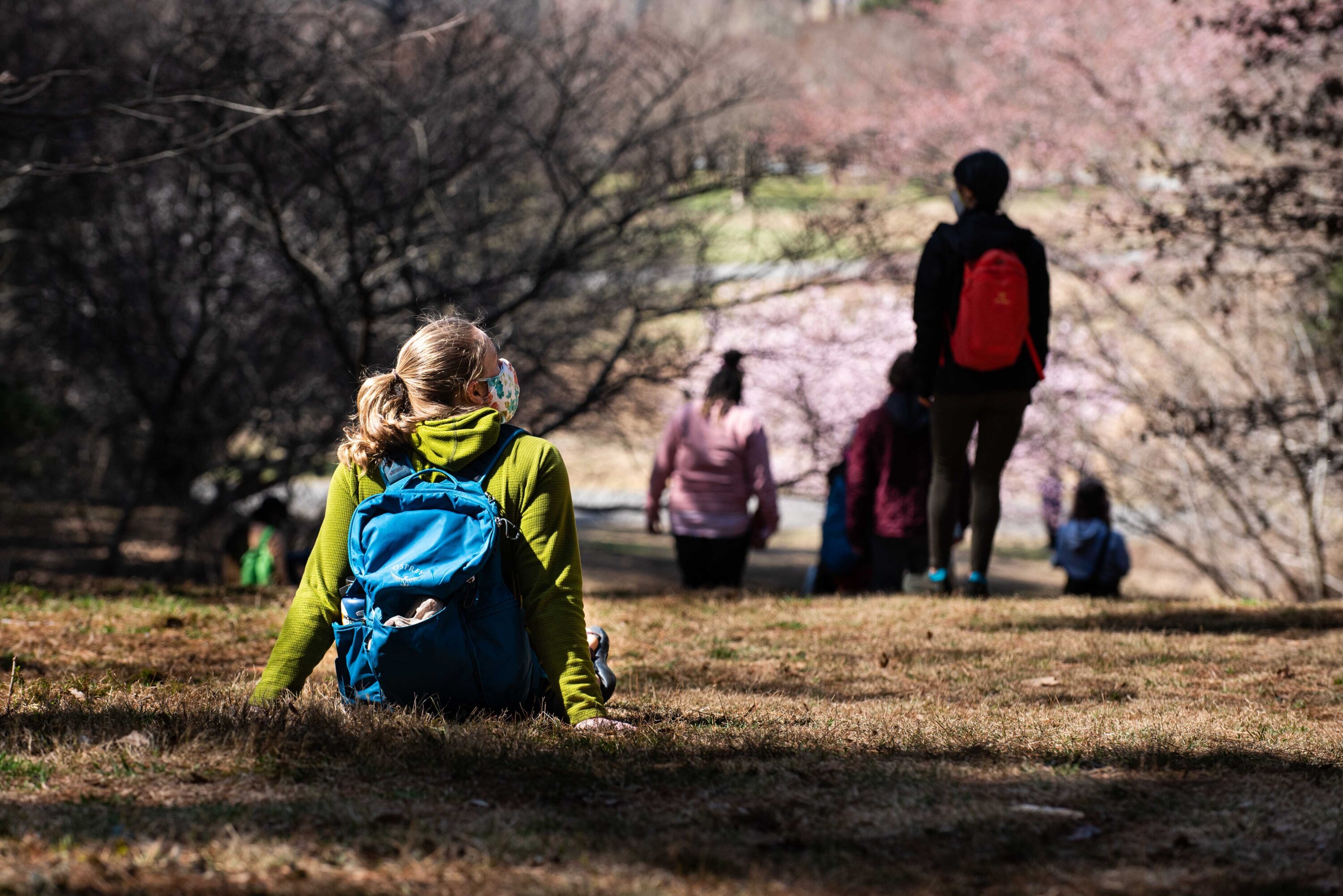 2021_Forest Bathing_cherry tree_Arcteryx event_March_spring-11 - Washingtonian