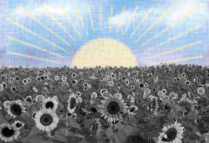 Trump Threatens DC Takeover, Says He’d Run the City “So Good”; Supreme Court OKs Mass Federal Worker Layoffs; and You Should Go Pick Some Sunflowers