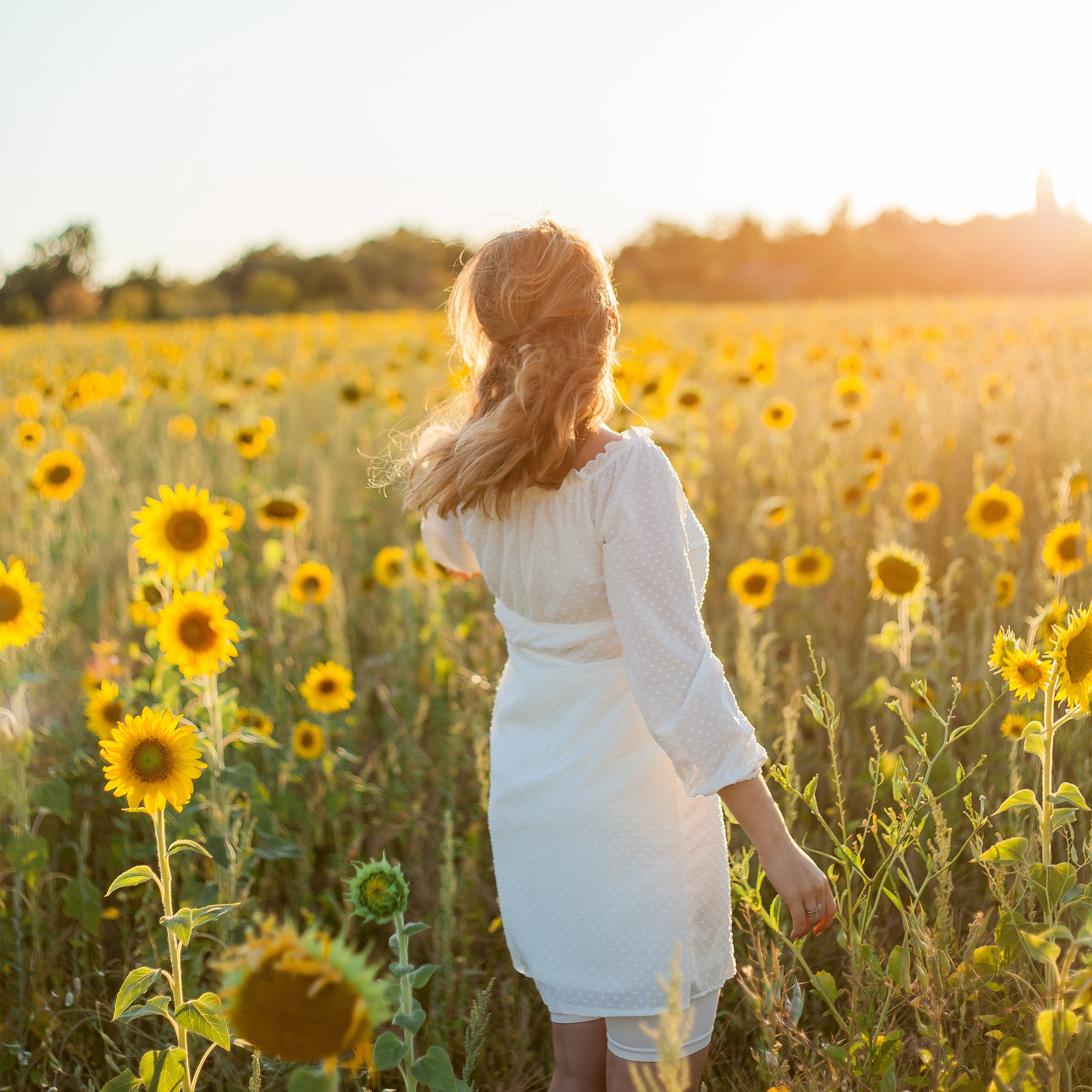 by-Krystyna-Cherkashyna-GettyImages-2202047039-cropped - Washingtonian
