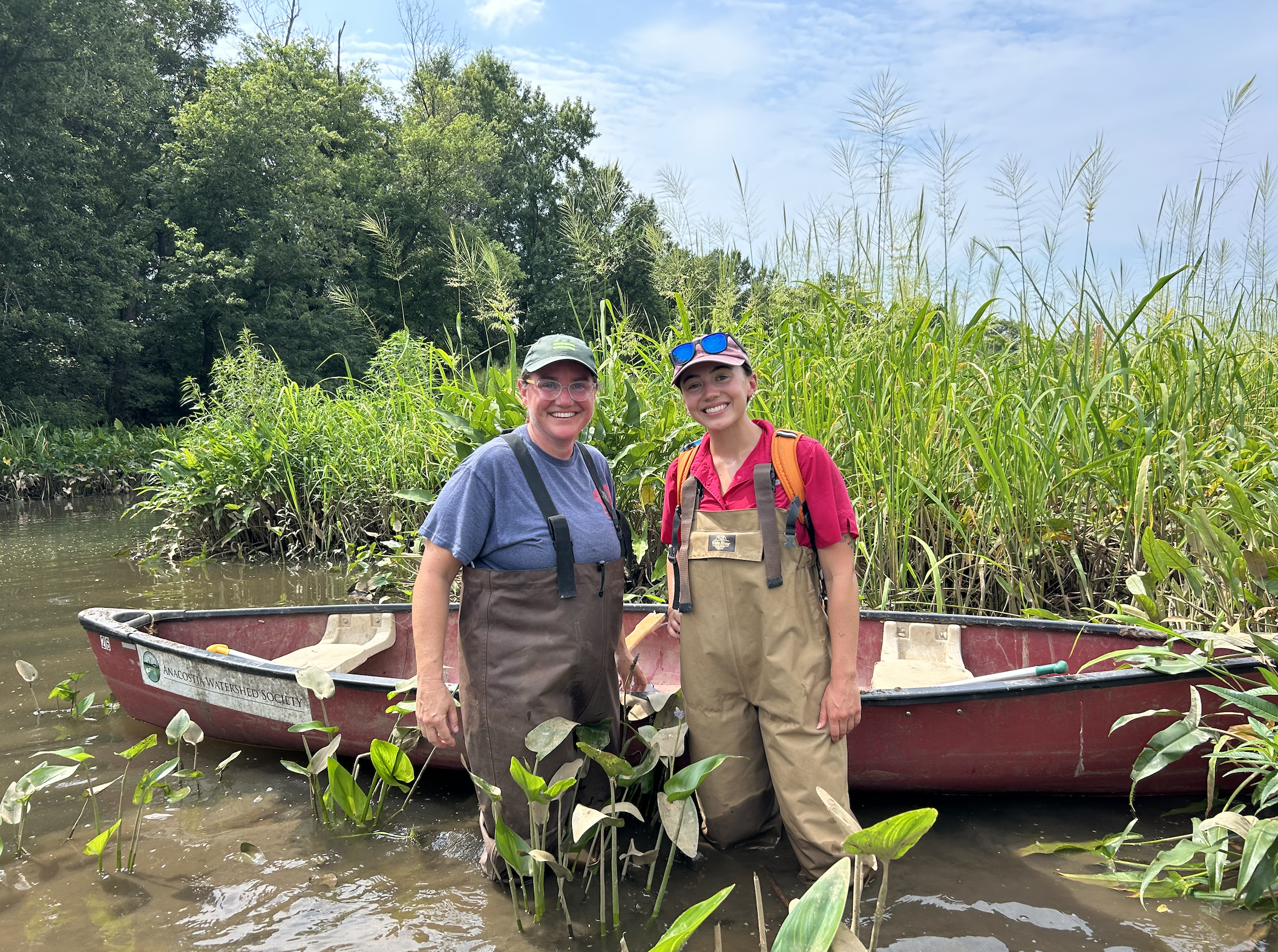 How a DC Area Wetlands Restoration Project Could Help Clean Up the Anacostia River - Washingtonian