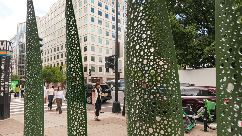 Washingtonian Image 4_Farragut Forest by Michael Enn Sirvet_Photo by Albert Ting_1024x576 - Washingtonian