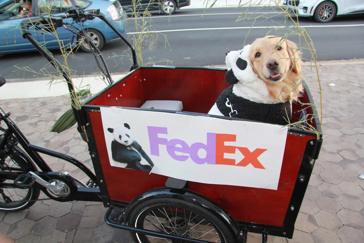 Dogs in costumes? It's happening at Howl-O-Ween in Gateway Park Interim Dog Park. Photo courtesy of Rosslyn BID.