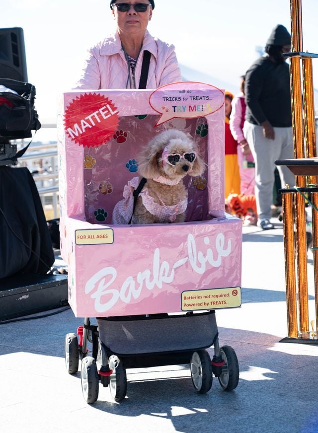 A pet parade is taking place at National Harbor. Photograph courtesy of National Harbor.